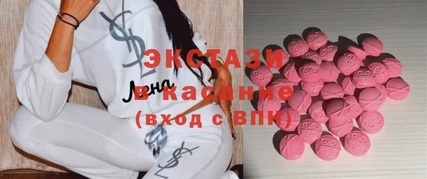 гидра Богданович