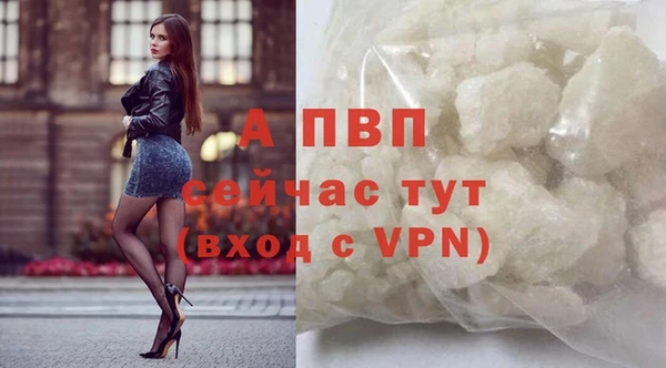 гидра Богданович