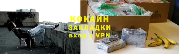 гидра Богданович