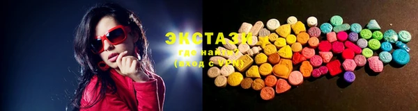гидра Богданович