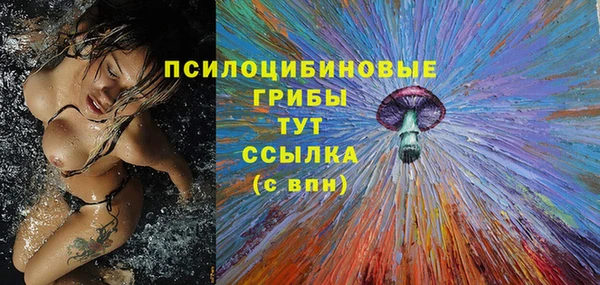 ГАЛЛЮЦИНОГЕННЫЕ ГРИБЫ Бугульма