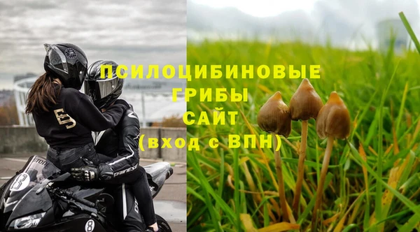герыч Богородск