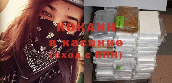 гидра Богданович
