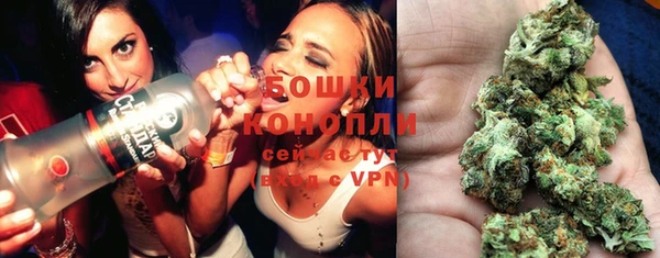 гидра Богданович