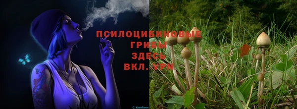 гидра Богданович